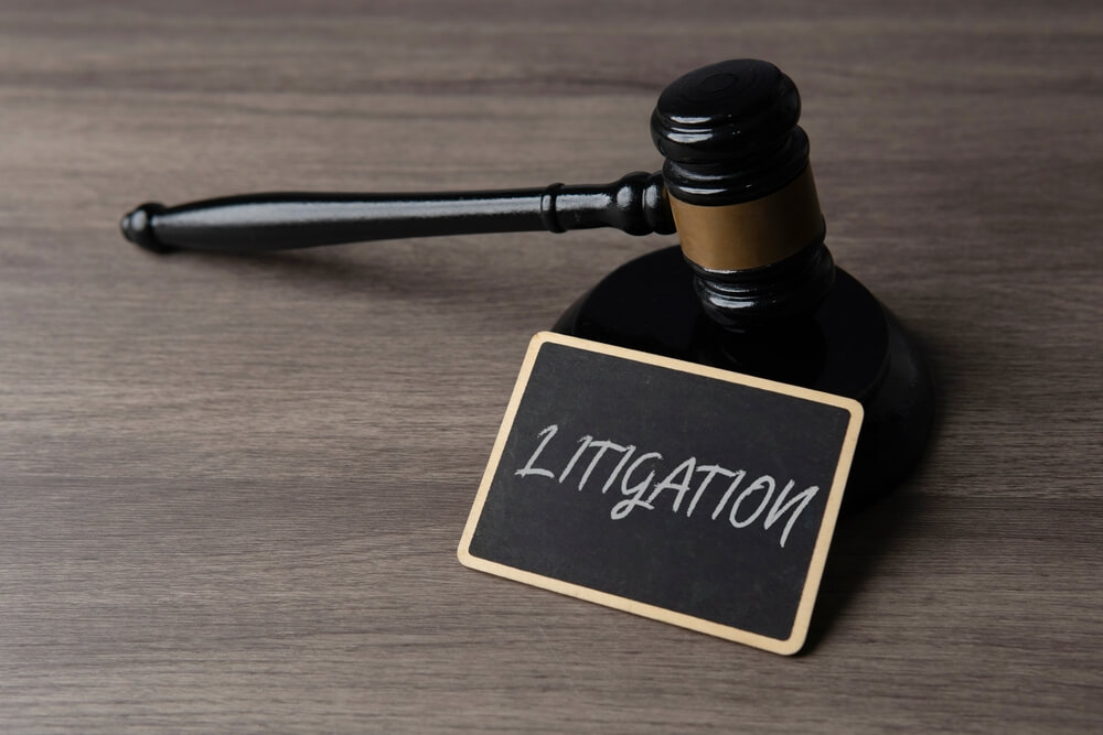 what does litigation mean in an immigration case